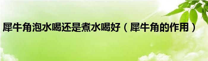 犀牛角泡水喝还是煮水喝好（犀牛角的作用）