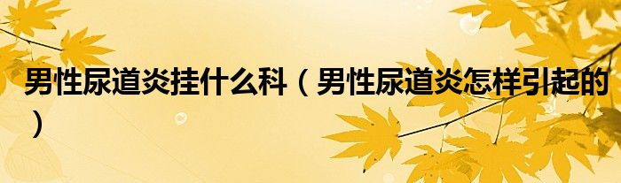 男性尿道炎挂什么科（男性尿道炎怎样引起的）