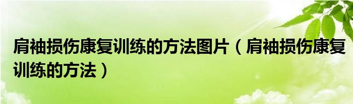 肩袖损伤康复训练的方法图片（肩袖损伤康复训练的方法）