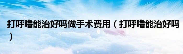 打呼噜能治好吗做手术费用（打呼噜能治好吗）