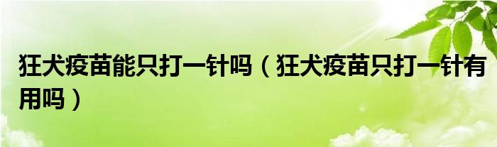 狂犬疫苗能只打一针吗（狂犬疫苗只打一针有用吗）