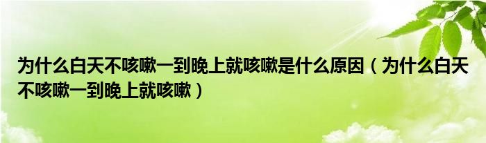 为什么白天不咳嗽一到晚上就咳嗽是什么原因（为什么白天不咳嗽一到晚上就咳嗽）