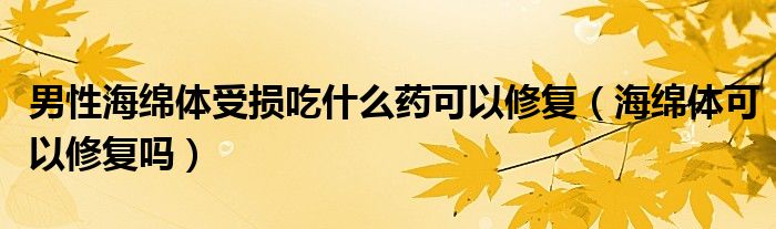 男性海绵体受损吃什么药可以修复（海绵体可以修复吗）