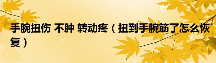 手腕扭伤 不肿 转动疼（扭到手腕筋了怎么恢复）