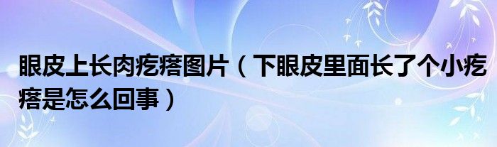 眼皮上长肉疙瘩图片（下眼皮里面长了个小疙瘩是怎么回事）