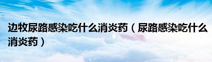 边牧尿路感染吃什么消炎药（尿路感染吃什么消炎药）