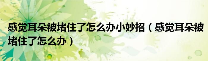 感觉耳朵被堵住了怎么办小妙招（感觉耳朵被堵住了怎么办）