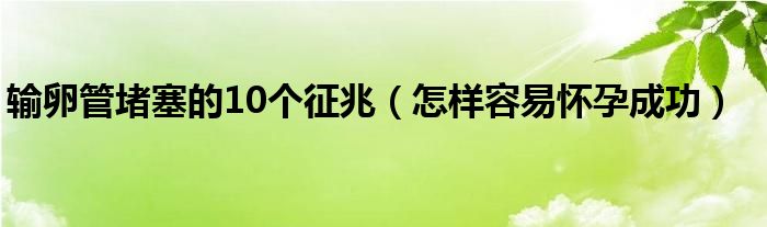 输卵管堵塞的10个征兆（怎样容易怀孕成功）