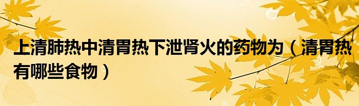 上清肺热中清胃热下泄肾火的药物为（清胃热有哪些食物）