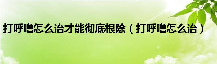 打呼噜怎么治才能彻底根除（打呼噜怎么治）