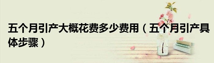五个月引产大概花费多少费用（五个月引产具体步骤）