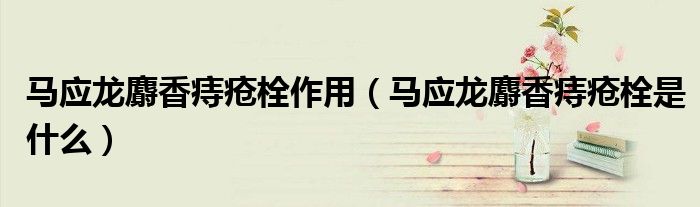 马应龙麝香痔疮栓作用（马应龙麝香痔疮栓是什么）