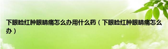 下眼睑红肿眼睛痛怎么办用什么药（下眼睑红肿眼睛痛怎么办）