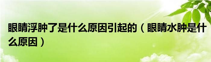 眼睛浮肿了是什么原因引起的（眼睛水肿是什么原因）