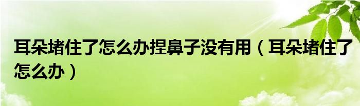 耳朵堵住了怎么办捏鼻子没有用（耳朵堵住了怎么办）
