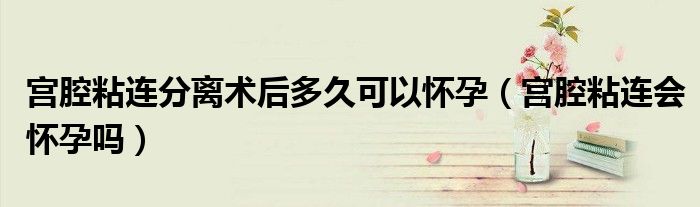 宫腔粘连分离术后多久可以怀孕（宫腔粘连会怀孕吗）