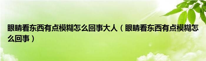 眼睛看东西有点模糊怎么回事大人（眼睛看东西有点模糊怎么回事）