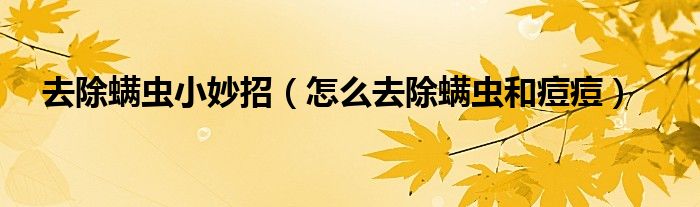 去除螨虫小妙招（怎么去除螨虫和痘痘）