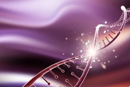 科学家发现癌细胞用于修复放疗引起的 DNA 损伤的机制