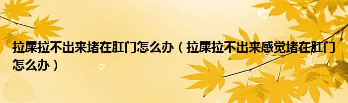 拉屎拉不出来堵在肛门怎么办（拉屎拉不出来感觉堵在肛门怎么办）