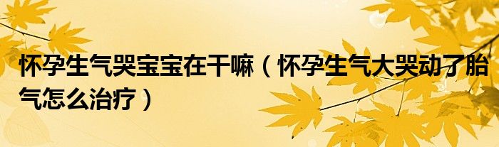 怀孕生气哭宝宝在干嘛（怀孕生气大哭动了胎气怎么治疗）