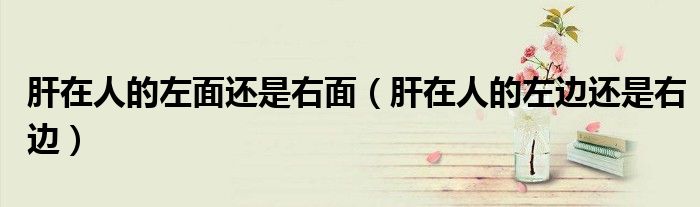 肝在人的左面还是右面（肝在人的左边还是右边）