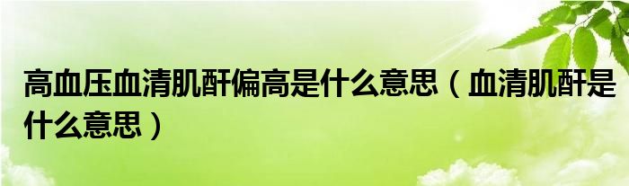 高血压血清肌酐偏高是什么意思（血清肌酐是什么意思）