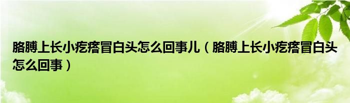 胳膊上长小疙瘩冒白头怎么回事儿（胳膊上长小疙瘩冒白头怎么回事）