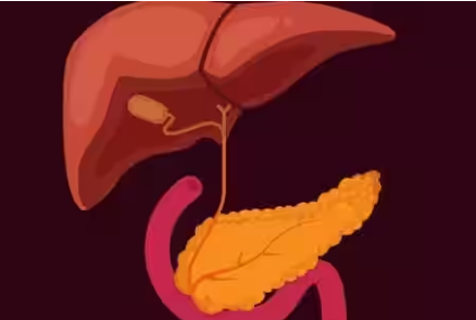 富含维生素 A 的饮食可以降低急性淋巴细胞白血病治疗期间患胰腺炎的风险