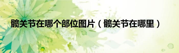 髋关节在哪个部位图片（髋关节在哪里）