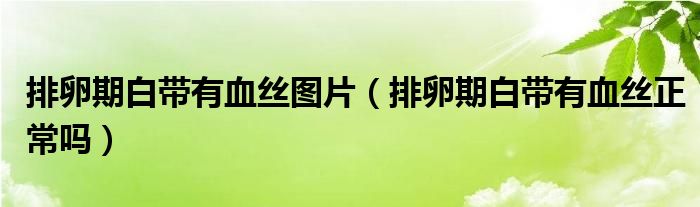 排卵期白带有血丝图片（排卵期白带有血丝正常吗）