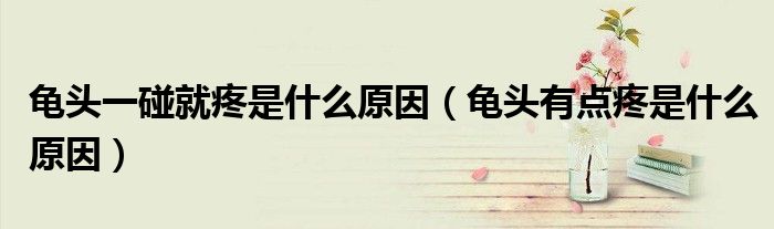 龟头一碰就疼是什么原因（龟头有点疼是什么原因）