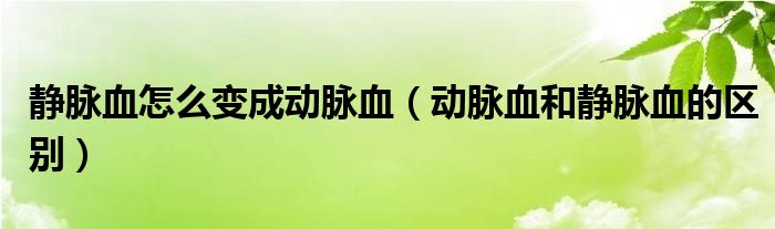 静脉血怎么变成动脉血（动脉血和静脉血的区别）