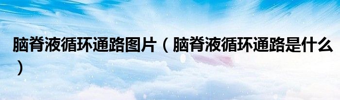脑脊液循环通路图片（脑脊液循环通路是什么）