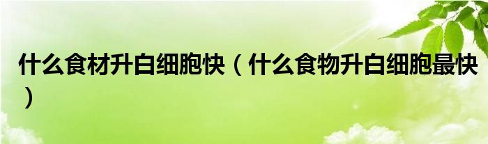 什么食材升白细胞快（什么食物升白细胞最快）