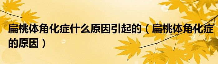 扁桃体角化症什么原因引起的（扁桃体角化症的原因）