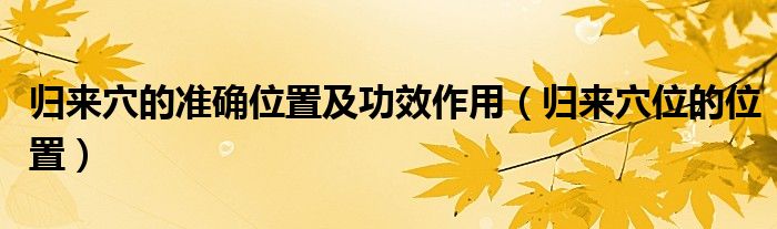 归来穴的准确位置及功效作用（归来穴位的位置）