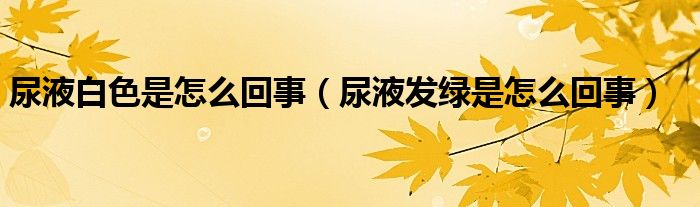尿液白色是怎么回事（尿液发绿是怎么回事）