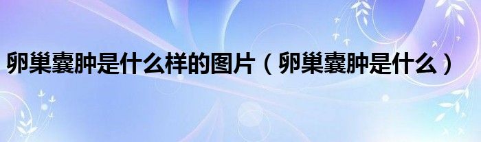卵巢囊肿是什么样的图片（卵巢囊肿是什么）