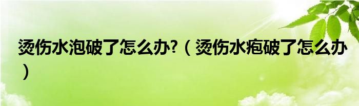 烫伤水泡破了怎么办?（烫伤水疱破了怎么办）