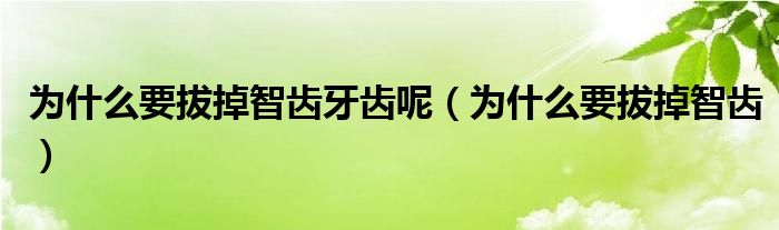 为什么要拔掉智齿牙齿呢（为什么要拔掉智齿）