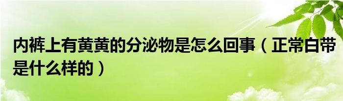 内裤上有黄黄的分泌物是怎么回事（正常白带是什么样的）