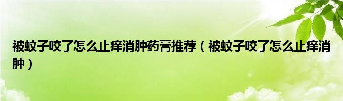 被蚊子咬了怎么止痒消肿药膏推荐（被蚊子咬了怎么止痒消肿）