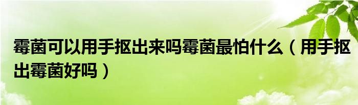 霉菌可以用手抠出来吗霉菌最怕什么（用手抠出霉菌好吗）