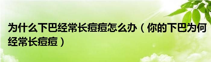 为什么下巴经常长痘痘怎么办（你的下巴为何经常长痘痘）