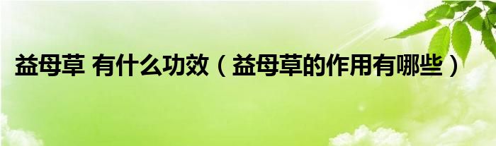 益母草 有什么功效（益母草的作用有哪些）