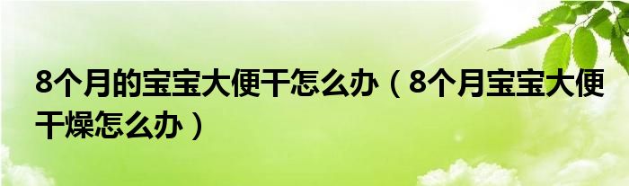 8个月的宝宝大便干怎么办（8个月宝宝大便干燥怎么办）