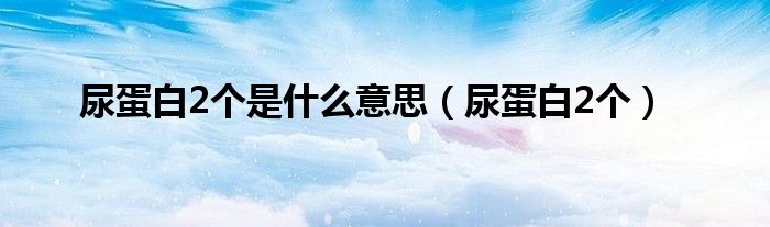 尿蛋白2个是什么意思（尿蛋白2个）