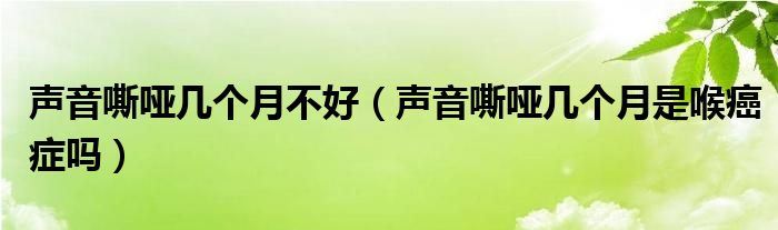 声音嘶哑几个月不好（声音嘶哑几个月是喉癌症吗）