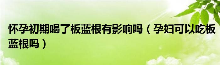 怀孕初期喝了板蓝根有影响吗（孕妇可以吃板蓝根吗）